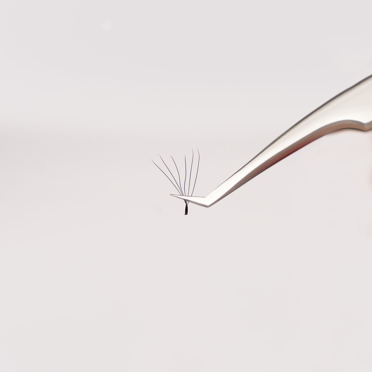 CamoufLash Easy Fans 3D Volume (Double Layer) Single Eyelash Extensions
