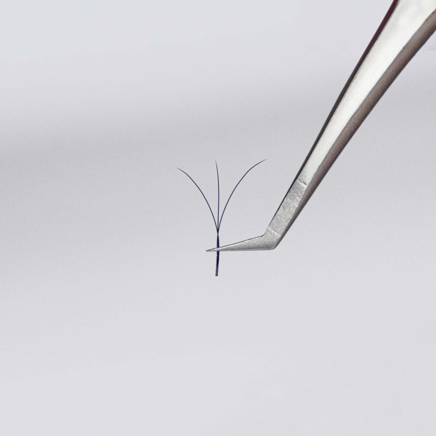 CamoufLash Easy Fans 3D Volume Single Eyelash Extensions